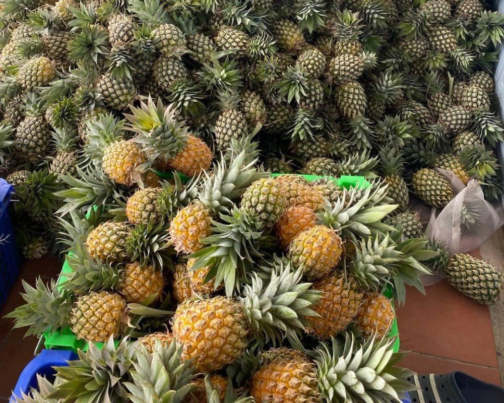 Pineapple